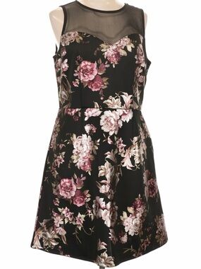 Maurices Black Floral Mesh Yoke Mini Dress